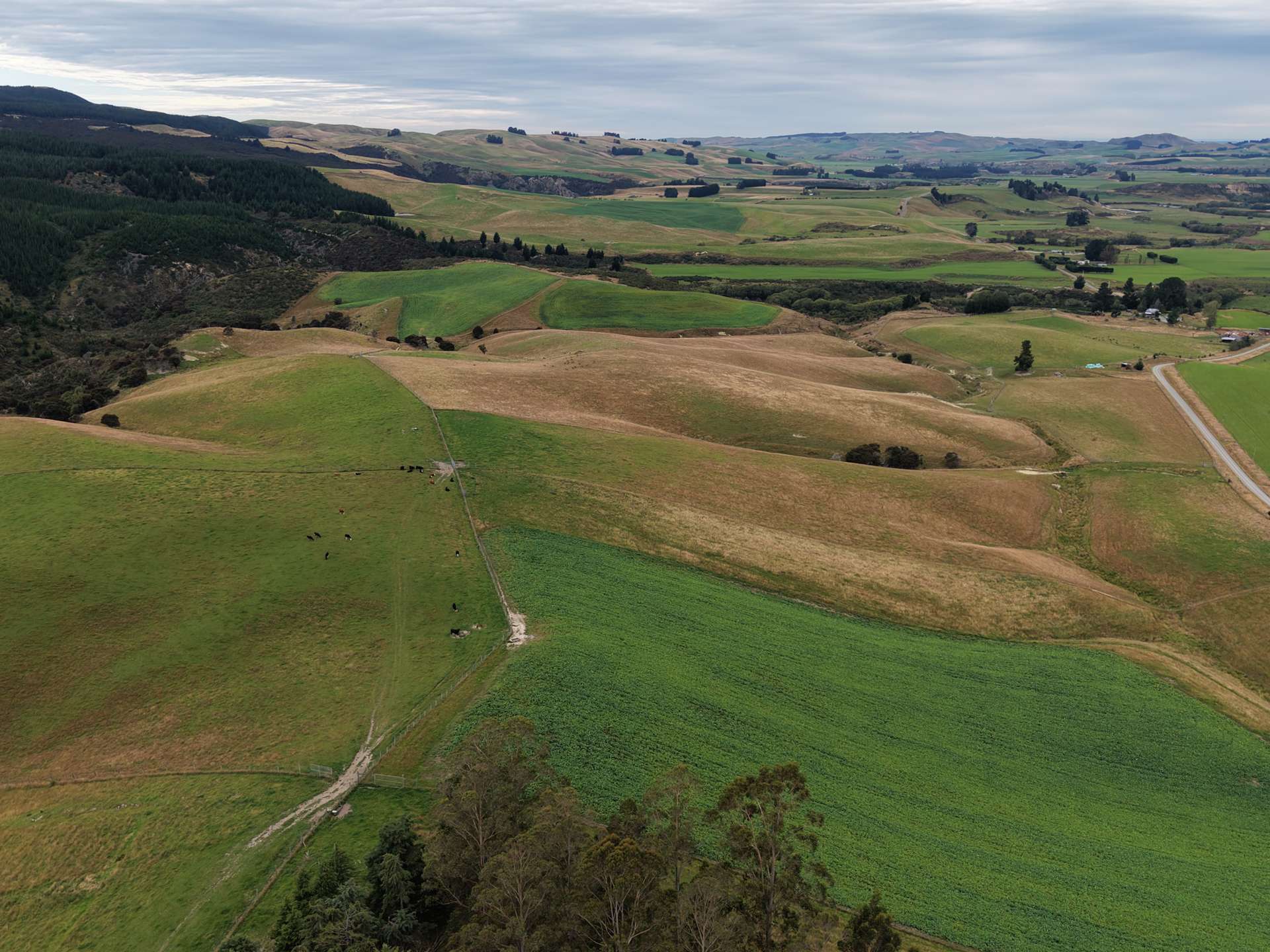 158 Kowhatu Road Waimate_0