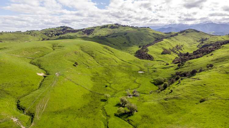 96 Bruces Road Sefton_18