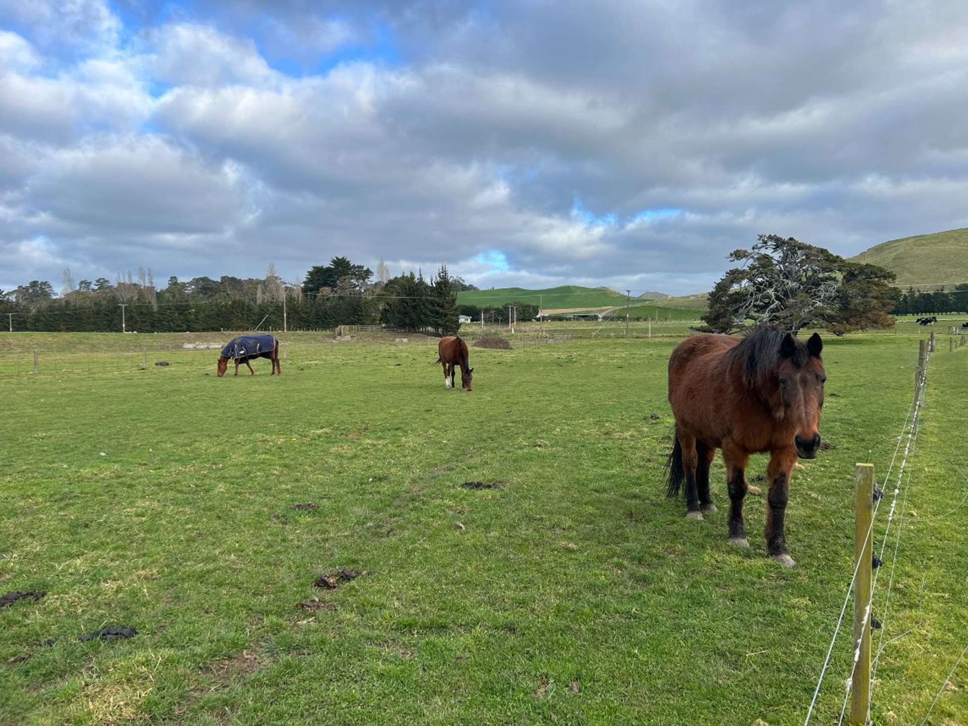 Lot 2/478 Oruawharo Road Takapau_0