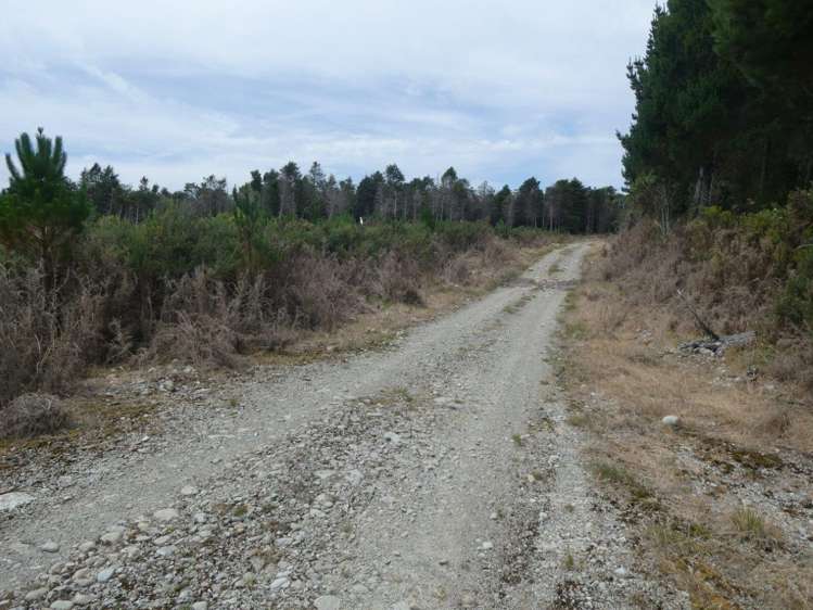 Camerons Road Marsden_5