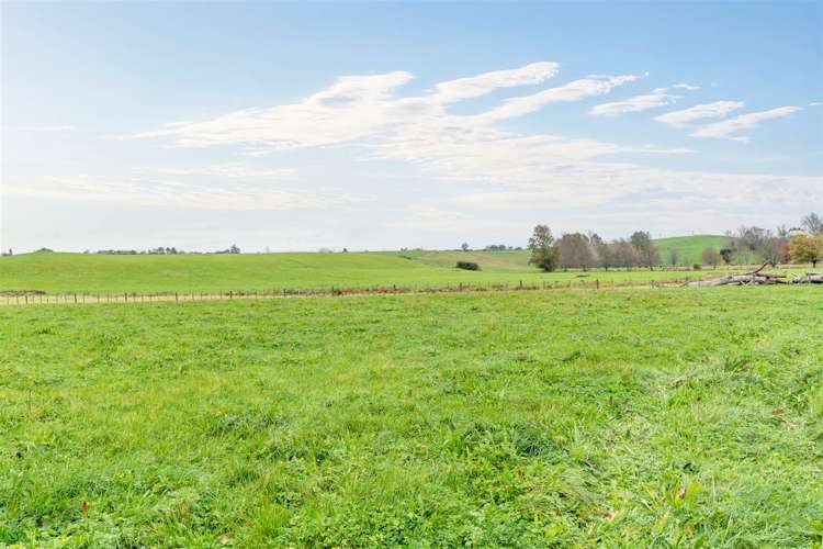 1007 Horotiu Road Whatawhata_6