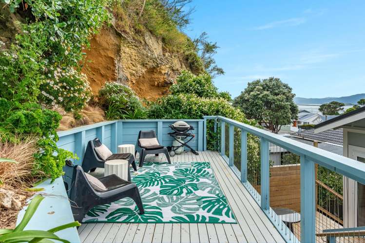 24 Ferry Street Seatoun_21