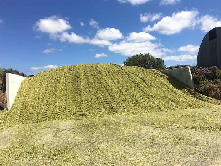 5 Overdale Road Putaruru_17