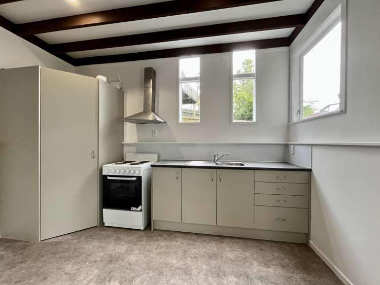 157A Don Buck Road Massey_2