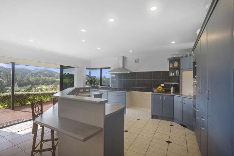 384 Pine Valley Road Dairy Flat_7