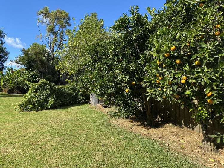 53 Chilcott Road Henderson_24