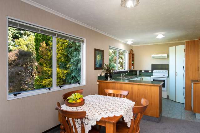 2/20 Lowther Place Taradale_4