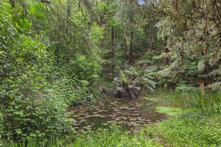 70 Kaimango Road Oparau_24