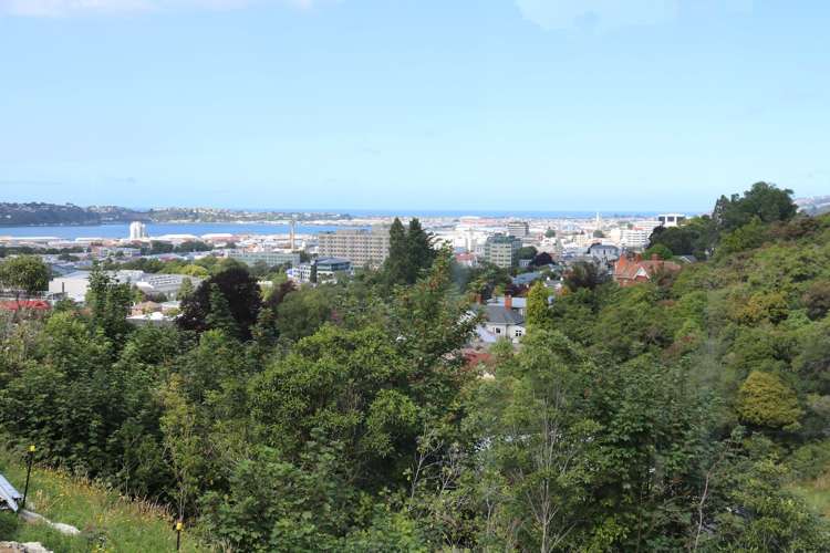 20 Lachlan Avenue North Dunedin_5