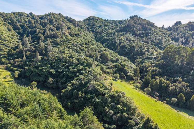 358 Kuku East Road Manakau_26