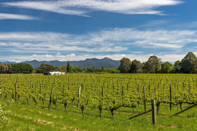 621 New Renwick Road Fairhall_14