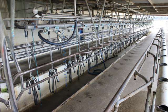 815 Pourakino Valley Road Pourakino Valley_4