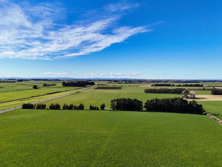 495. Thornbury Waimatuku Road Thornbury_2