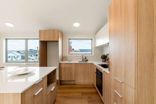 26 Resolution Street (4 x Finished Homes) Lyall Bay_4