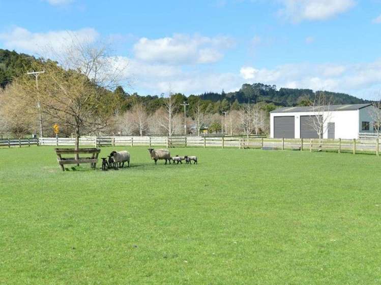 571 Kara Road Maungatapere_9