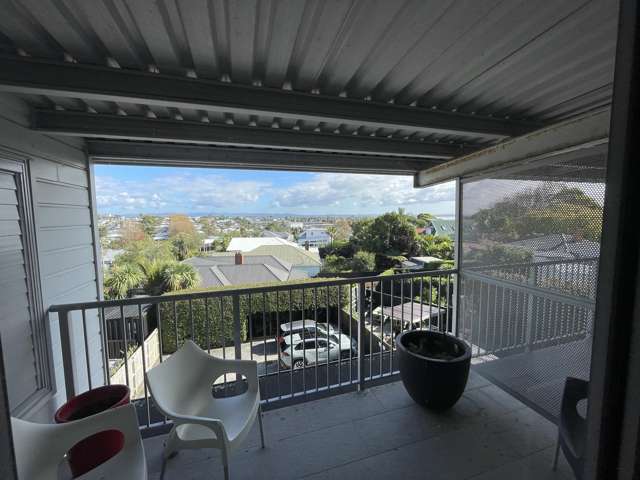 166 Richmond Road Grey Lynn_3