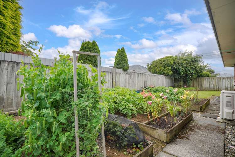 22 Craig Street Waikiwi_21