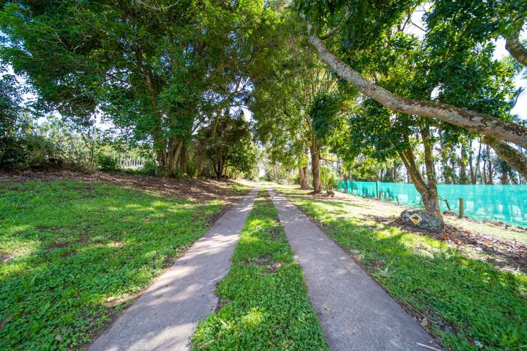 28 Nisbet Road Maungatapere_13