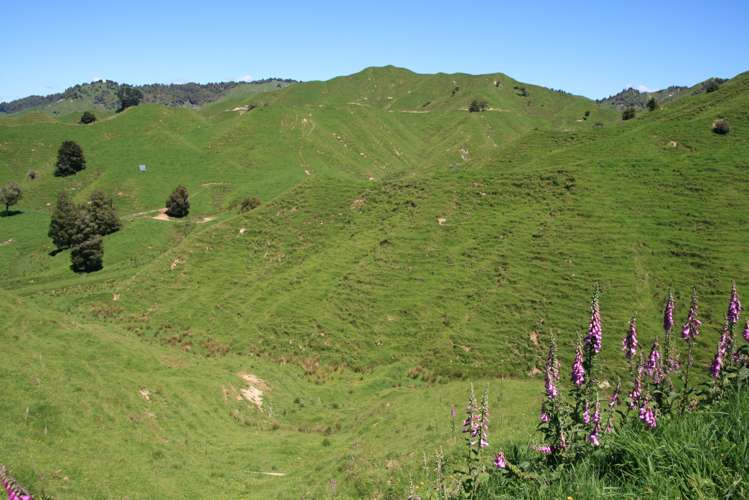 6753 Ohura Road Ruapehu-King Country Surrounds_9