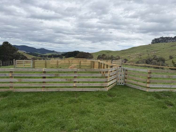 2256 Weber Road Dannevirke_6