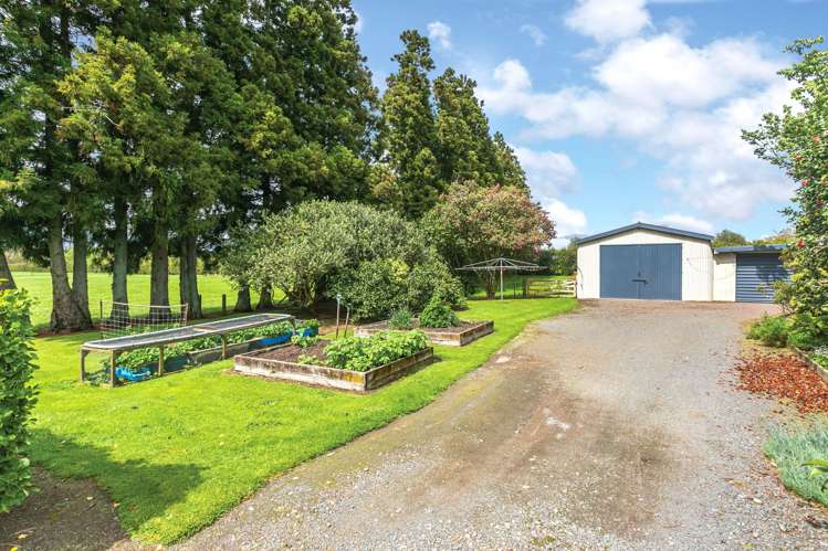 696a Tower Road Matamata_19