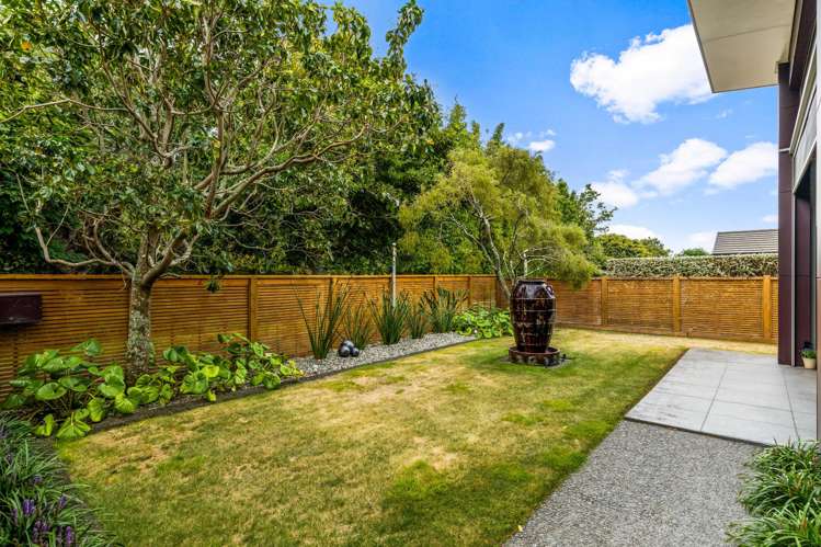 58D Gilbert Street New Plymouth_7