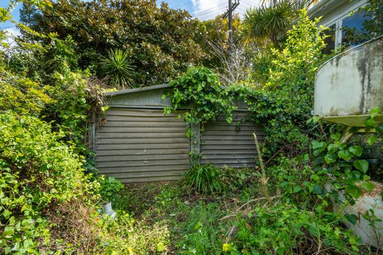 93 Tanekaha Road Titirangi_15
