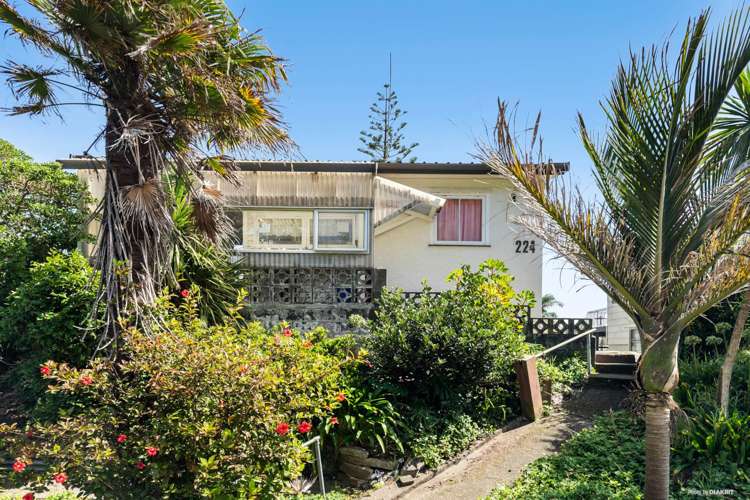 224 Maunsell Road Port Waikato_10