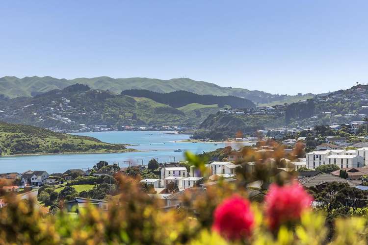 1 Manapouri Lane Aotea_33