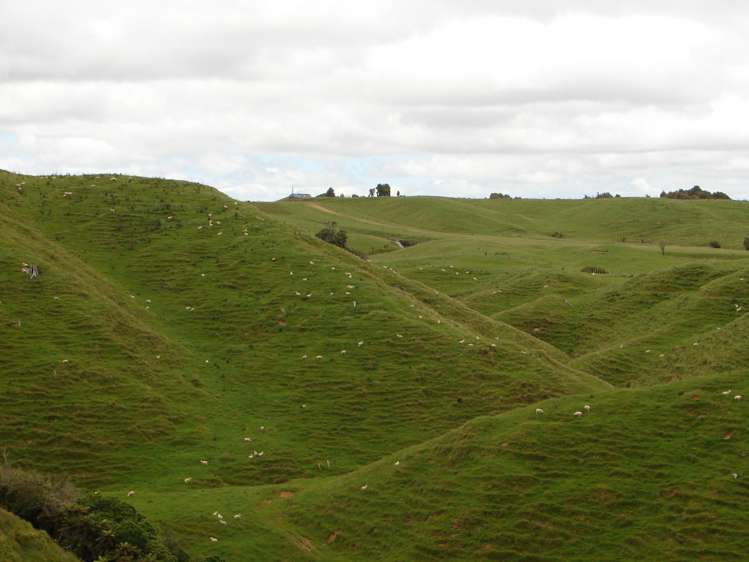 Mahoe Road Waitomo_11