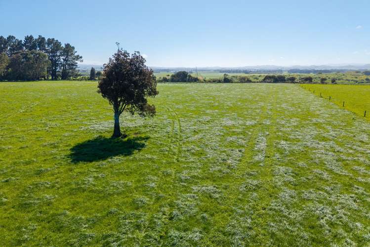 829 Ballance Valley Road Pahiatua_7