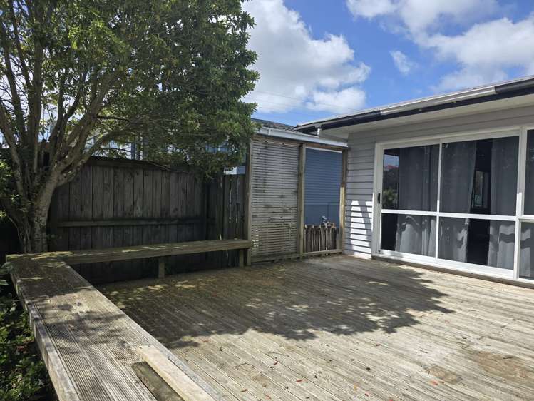 20 Penney Avenue Mount Roskill_3