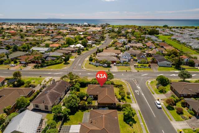 43a Hibiscus Avenue Mount Maunganui_4
