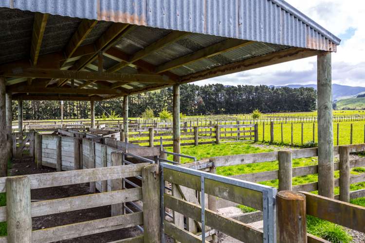 626 Valley Road Woodville_8