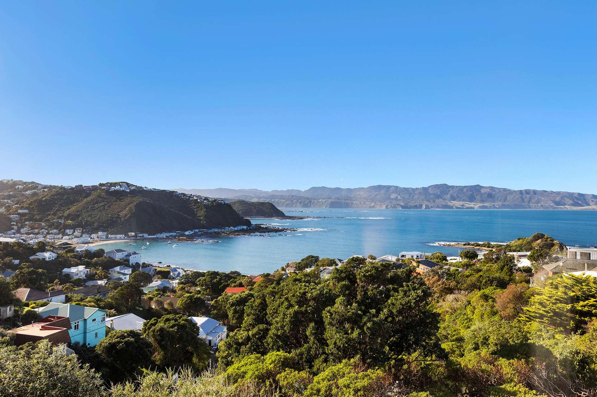 8/52 High Street Island Bay_0