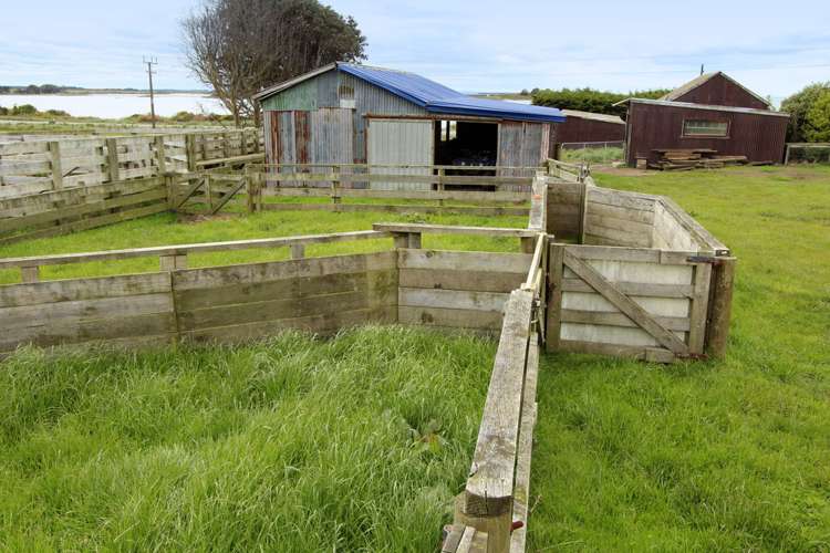 2171 Bluff Highway Greenhills_15