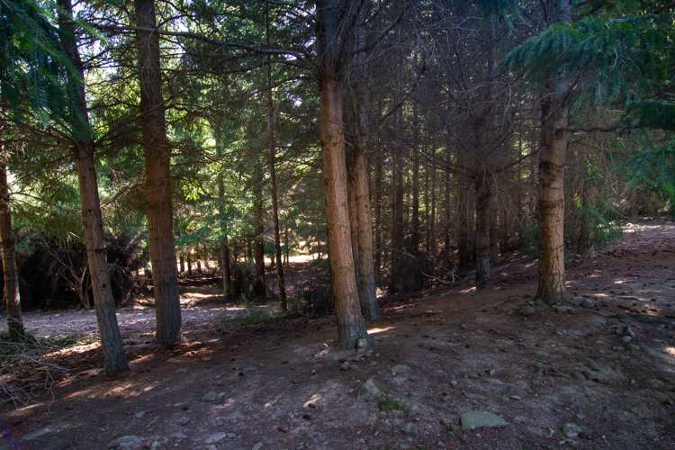 837c Lake Hawea-Albert Town Road Albert Town_8