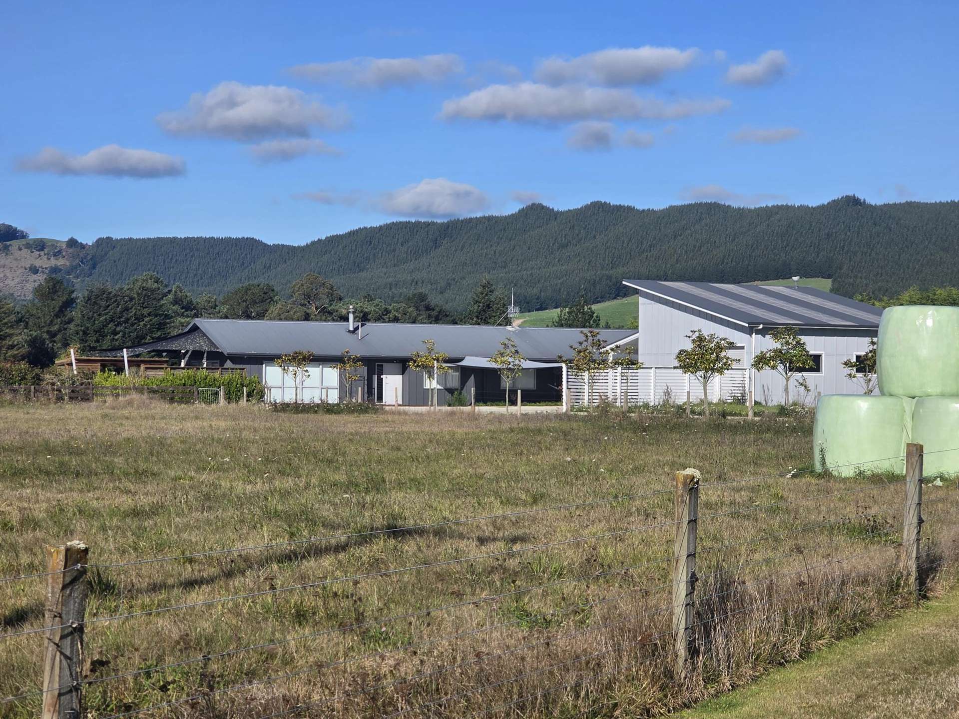 26 Riverlea Downs Broadlands Forest_0