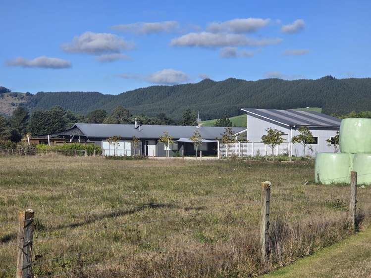 26 Riverlea Downs Broadlands Forest_0