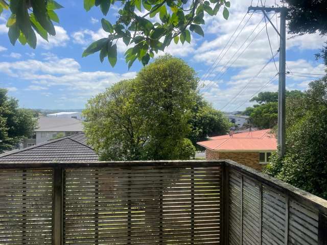 24 Wellington Street Papakura_4