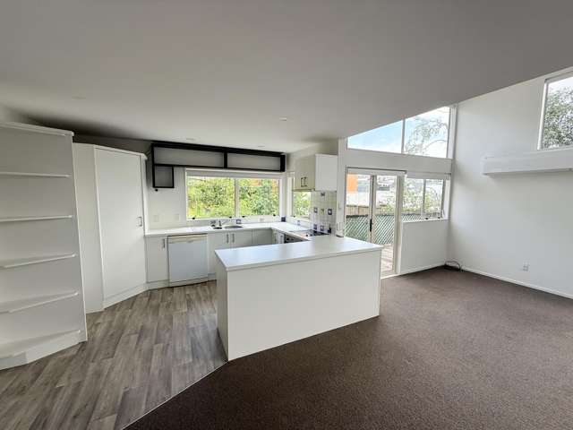 4/16 Balfour Road Parnell_2