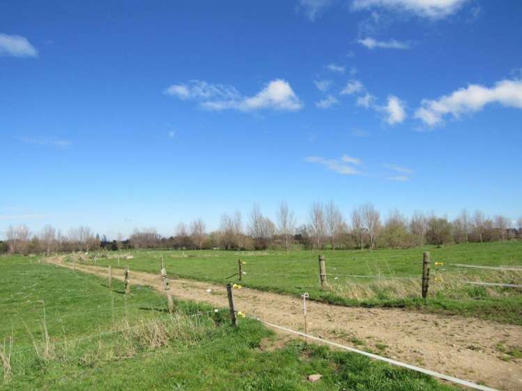 387 Te Aroha-Gordon Road Hauraki Surrounds_8