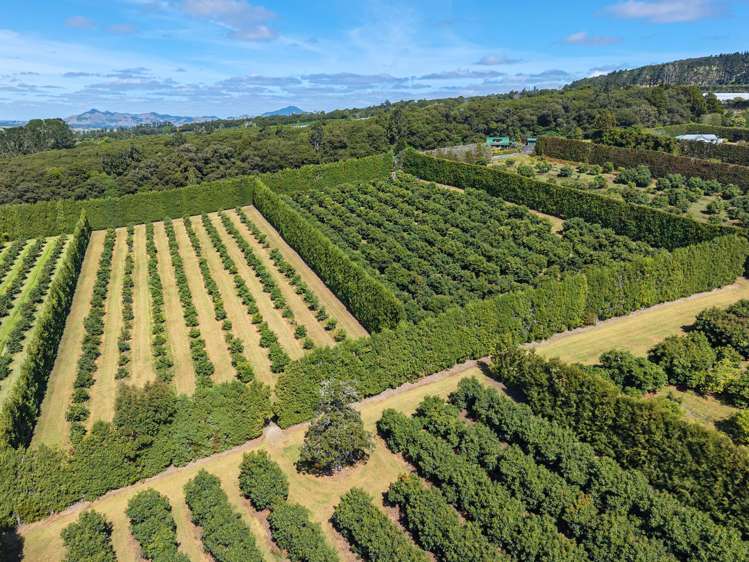 88 Stone Wall Rse Maungatapere_16