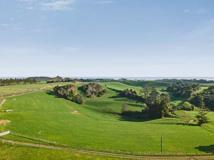 568 South Road Omata_5