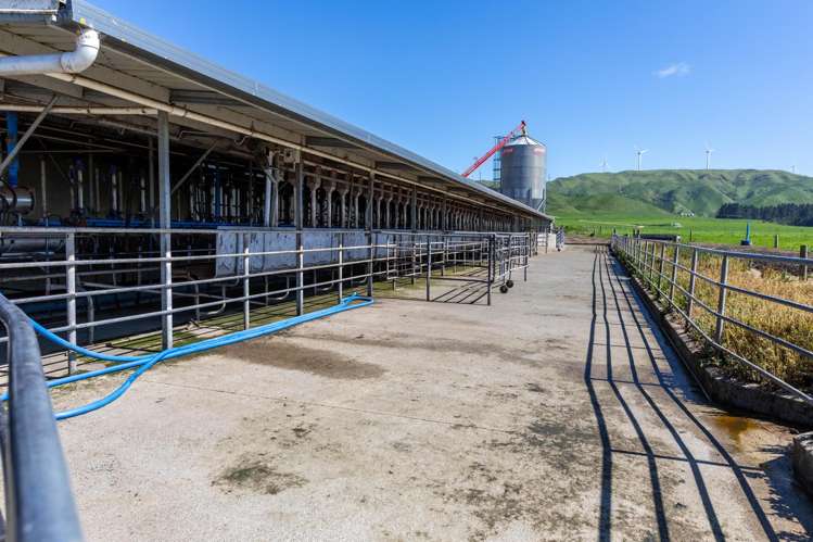 829 Ballance Valley Road Pahiatua_18