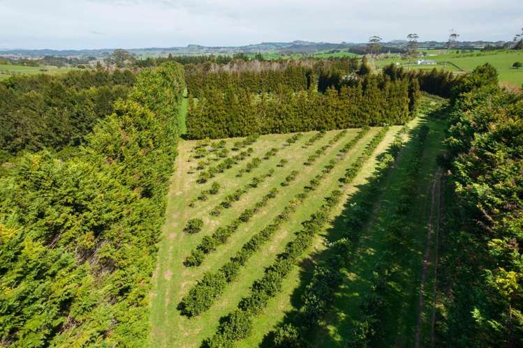 908A Te Ahu Ahu Road, Waimate North Kerikeri_7