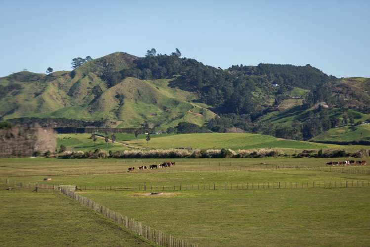 116 Seaforth Road Waihi Beach_25