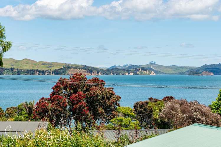 21 Ngatoto Road Tinopai_4