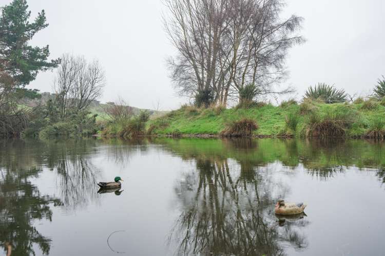 243 Island Edendale Road Wyndham Surrounds_17