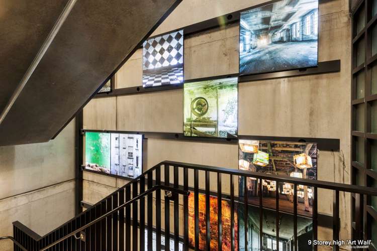 202/59 France Street Eden Terrace_5